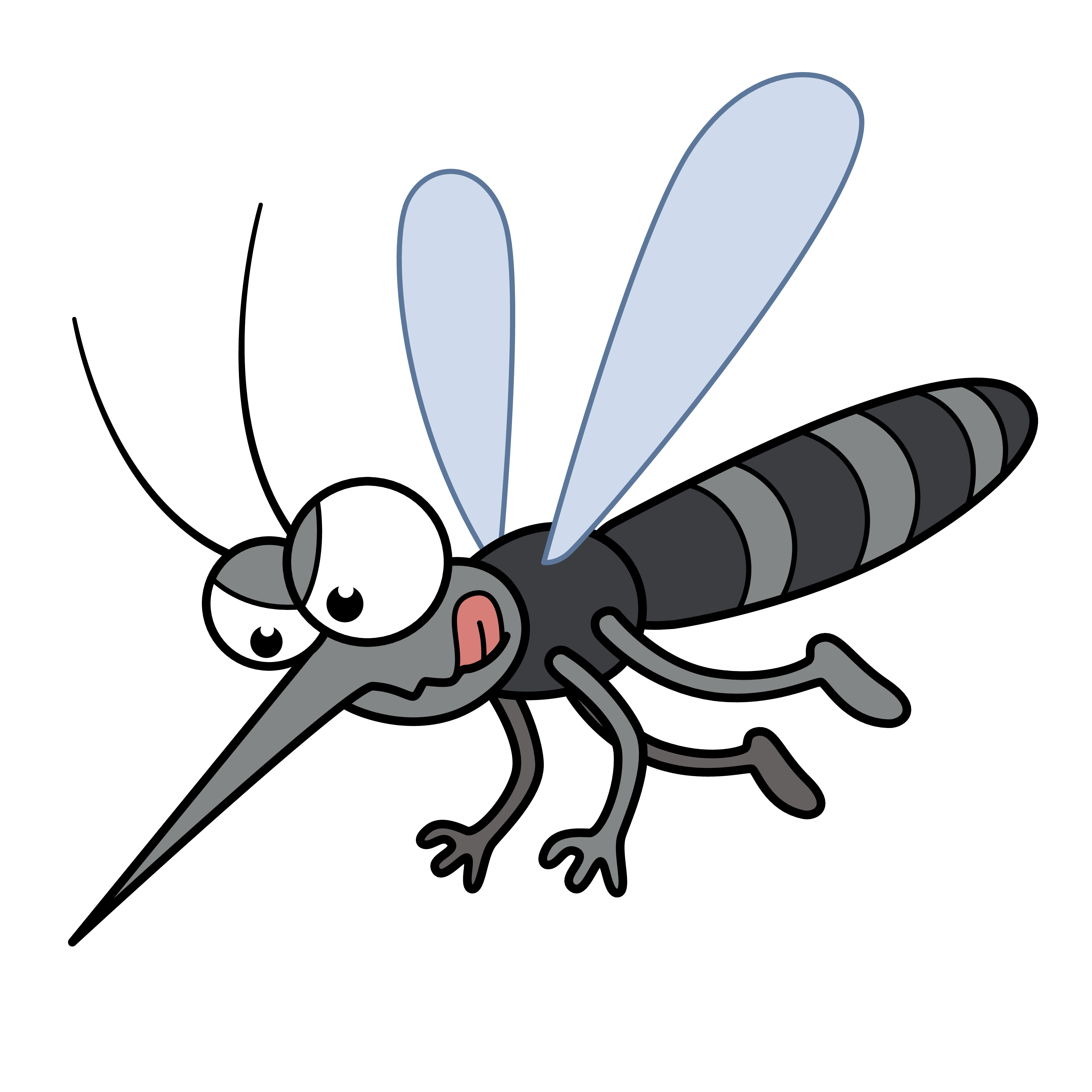 Mosquito Type 1